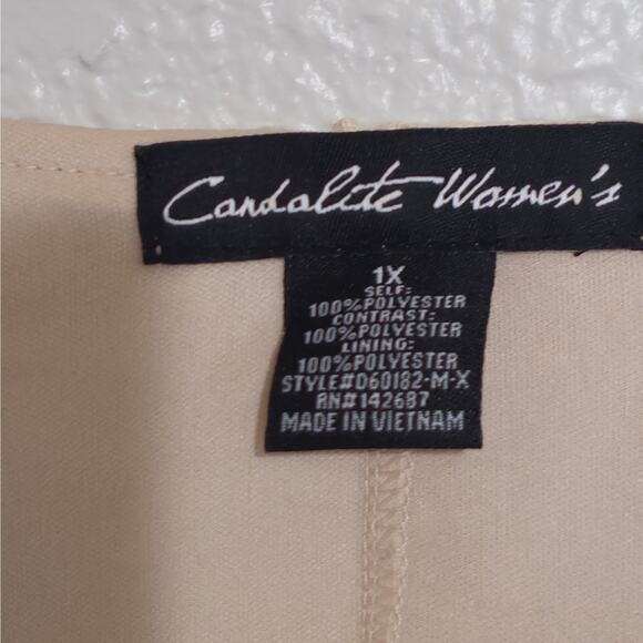 Candalite Women Champagne Beige lace Sheath Dress vented bottom Maxi Sz. 1X - Picture 4 of 11